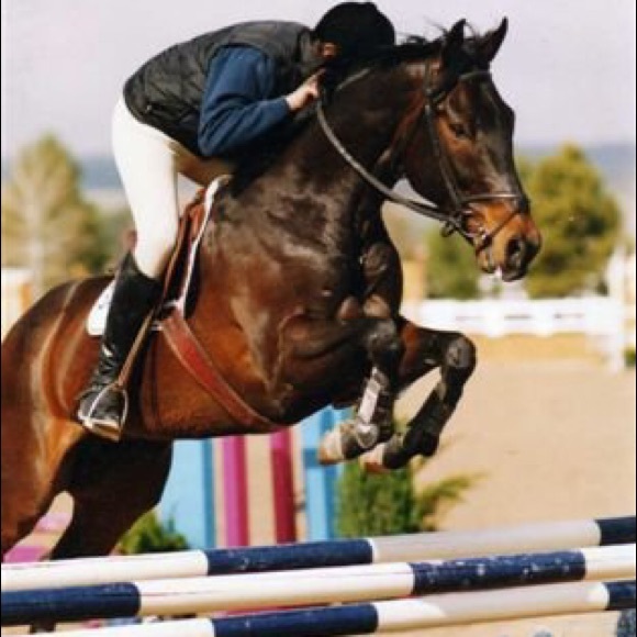 Meet your Posher, Holly - Picture 3 of 3